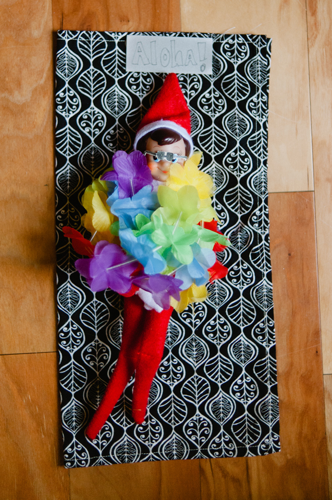 Elf on the Shelf ideas by www.shannoncunninghamphoto.com